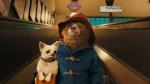 Paddington 2 - pokaz przedpremierowy